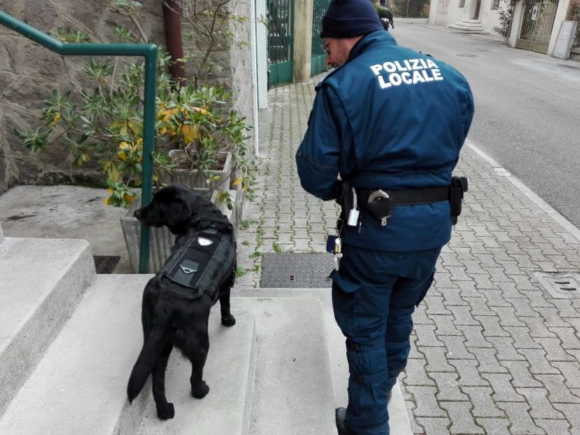 Due cani antidroga alla Polizia Locale di Venezia